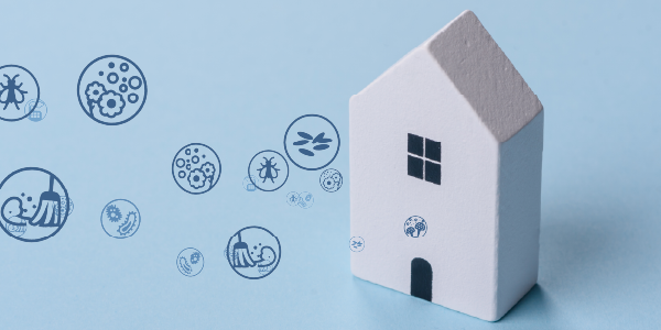 Jaki filtr do rekuperatora wybrać? Praktyczny przewodnik krok po kroku