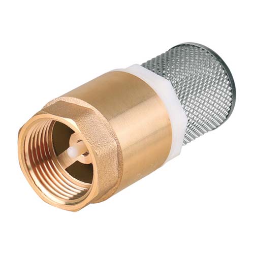 Zawór zwrotny z filtrem ssawnym